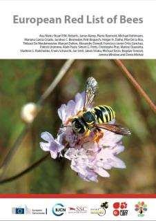 >40% der Bienenarten sind gefährdet (in zahlreichen nationalen Roten Listen)