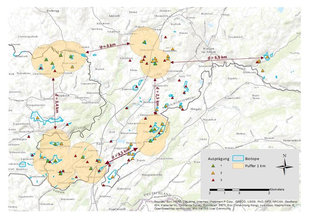 Ergebnisse: Metapopulationsanalyse 78 Flächen mit Heilziest-Vorkommen im Umkreis von 2 km um besiedelte Habitate nur 15