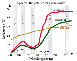 Vegetationsindizes VI B G R NIR Pigmente absorbieren sichtbares Licht (0.4 0.7 µm), Gewebe reflektieren Licht im nahen Infrarot- Bereich (0.7 1.1 µm).