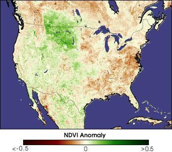 NDVI: Trockenheitsindex Anomaly (= Abweichung vom langj. Mittel) Hier: Aug.