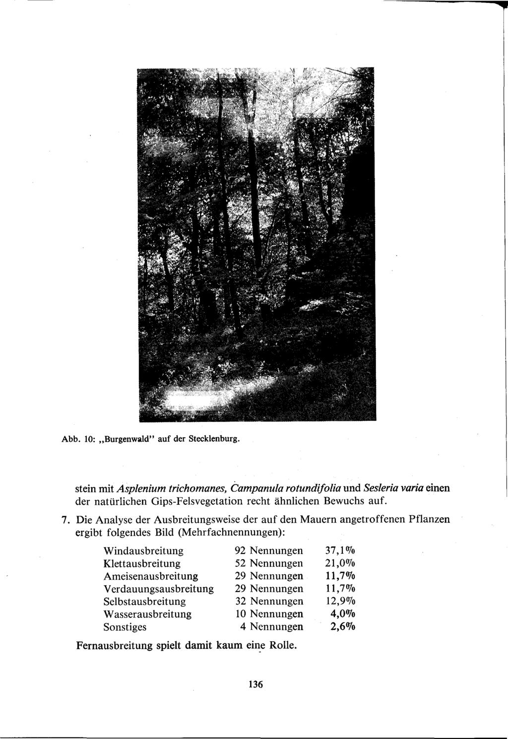 Abb. 10: Burgenwald" auf der Stecklenburg. stein mit Asplenium trichomanes, Campanula rotundifolia und Sesleria varia einen der natürlichen Gips-Felsvegetation recht ähnlichen Bewuchs auf. 7.