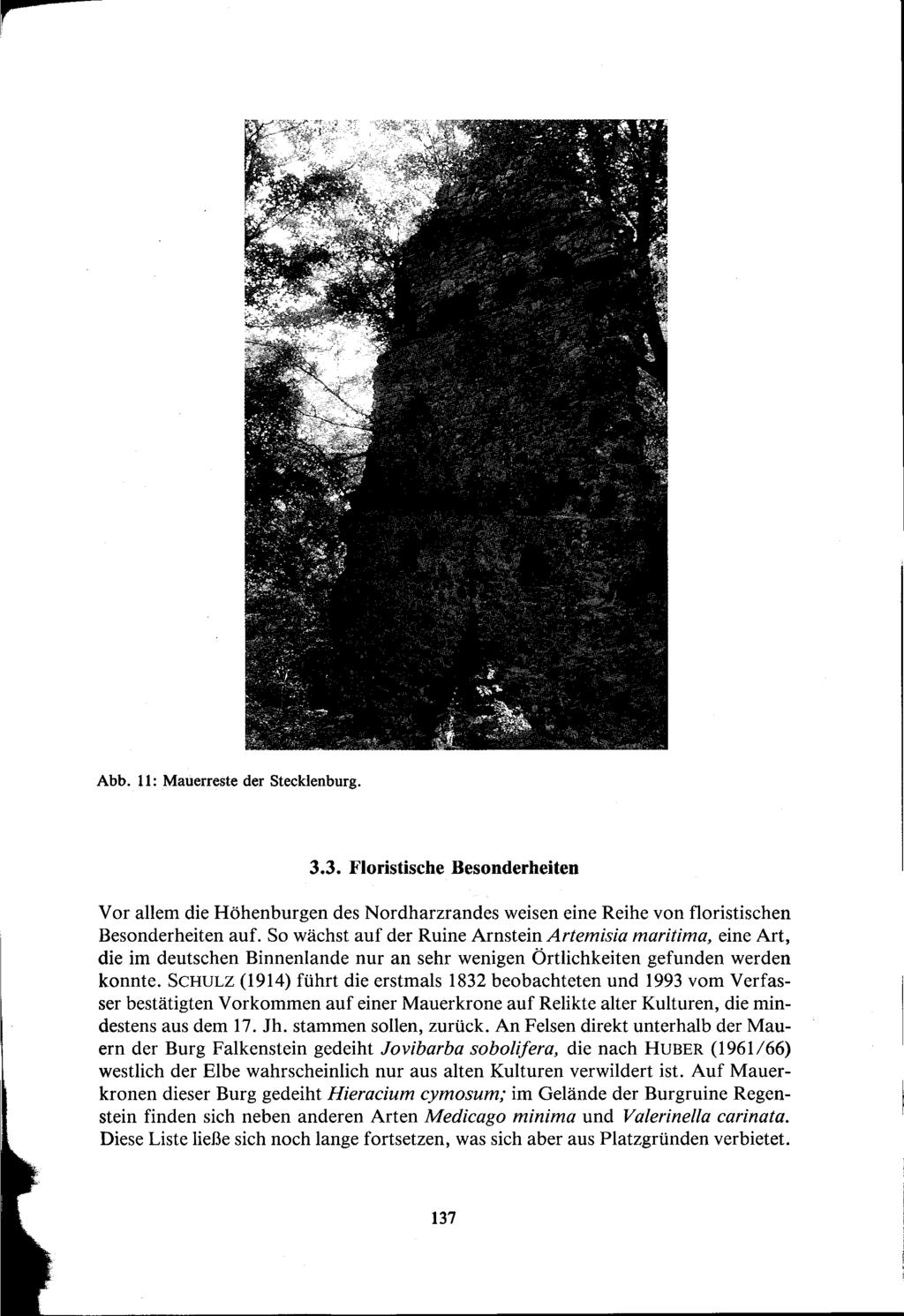 Abb. 11: Mauerreste der Stecklenburg. 3.3. Floristische Besonderheiten Vor allem die Höhenburgen des Nordharzrandes weisen eine Reihe von floristischen Besonderheiten auf.