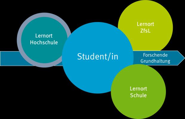7 Lernort: Hochschule Verantwortung für das Praxissemester (Prüfungen) Anbahnung des forschenden Lernens in den Projektseminaren Methodische Vorbereitung in