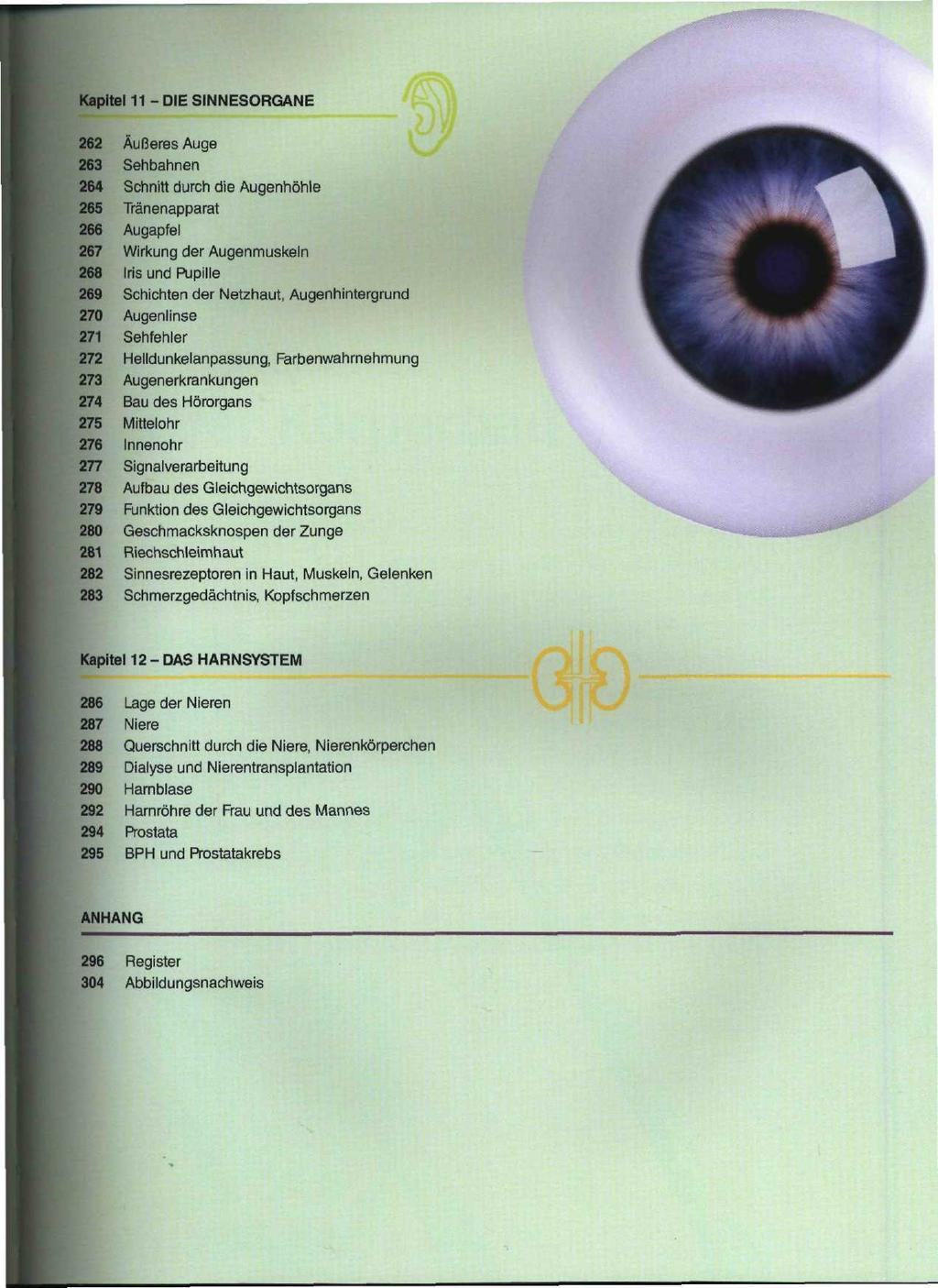 Kapitel 11 - DIE SINNESORGANE 262 Äußeres Auge 263 Sehbahnen 264 Schnitt durch die Augenhöhle 265 Tränenapparat 266 Augapfel 267 Wirkung der Augenmuskeln 268 Iris und Pupille 269 Schichten der