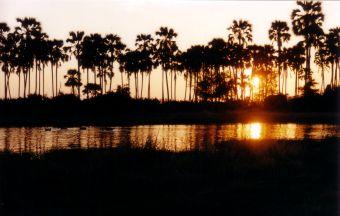 können Sie die unvergesslichen Tage Ihres Tansaniaurlaubs bei einem Sundowner in dem am Ufer gelegenen Forodhani Garden ausklingen lassen.