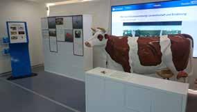 Wie stellt man das Thema Tierhaltung aus? Im Juni und November 2018 wunderten sich Erwachsene und Kinder freuten sich im Blauen Container im Museumshof standen plötzlich Kuh, Schaf und Schwein!