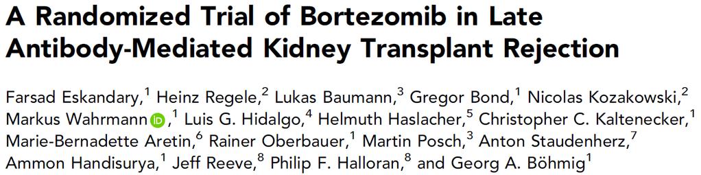 Bortezomib Borteject-Studie ABMR-Screening bei Pat. mit funktionierendem Transplantat > 180 Tage egfr > 20 ml/min/1.