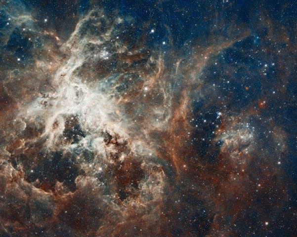 The Tarantula Nebula is a spectacular