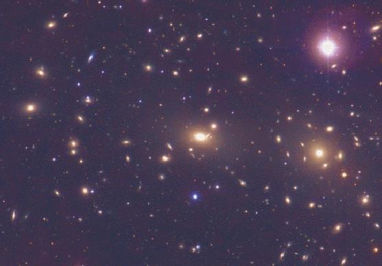 Der Coma-Haufen Distanz: 90 Mpc (z = 0,02) Hellsten Galaxien sind