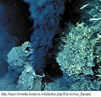 Habitate Primitive Atmosphären: CO 2, N 2, H 2 O, CO, H 2 Hydrothermale Tiefsee-Systeme: Synthese von