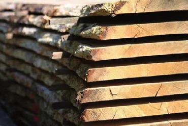 Die Philosophie von Holzwerk lautet «kompetent individuell»: Wir kennen die technischen Eigenschaften und Eigenheiten der eingesetzten Holzarten und verfügen über das Know-how in der Verarbeitung und