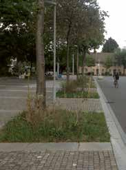 9. Gestaltung und Materialisierung 9.4 Bepflanzung Vegetation ist ein natürlicher Kontrast zu harten Oberflächen von Strassen, Plätzen und Fassaden.