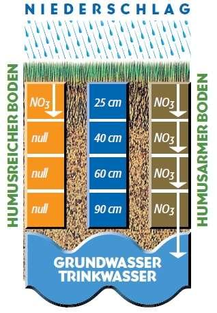 Wichtiger Nebeneffekt: Humus und Nitratverlagerung Durch Zugabe von Leonardit wird dem Boden Dauerhumus zugeführt.