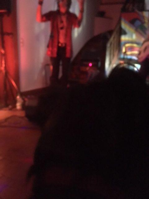 Black Dog das Schwarze im Vordergrund ist ein großer, freundlicher, ungemein an DSMs Musik interessierter Hund.