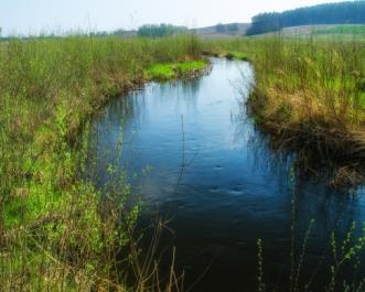 Auswahl an Förderrichtlinien: Richtlinie zur Förderung der nachhaltigen Entwicklung von Gewässern und Feuchtlebensräumen (FöRiGeF) Richtlinie zur Förderung von