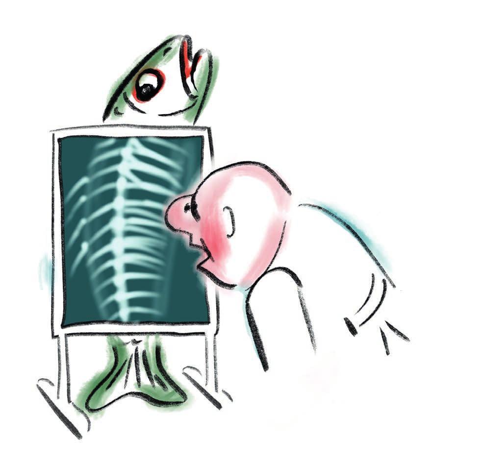 2 Röntgen bei Rückenschmerzen Laut Umfragen leidet jede und jeder dritte Erwachsene in Österreich unter Rückenschmerzen.