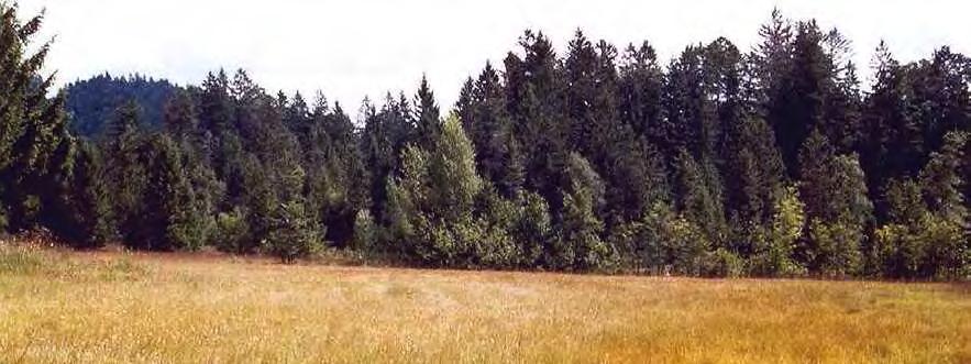 Drei Kostbarkeiten der Gemeinde Schwarzmoos (23602) 5,21 ha Beschreibung Hochmoorfläche mit schöner Ausbildung von Bulten und Schlenken auf einer Rückenverebnung nordwestlich des Geißkopfes mit