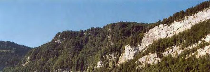 Kapuzinerwald bis Grindbühl (23623) 69,48 ha Beschreibung Naturnahe Hirschzungen-Schluchtwälder, Ahorn-Eschen-Wälder und Buchenwälder auf Steilhängen über Kalk, an einem nach Osten exponierten