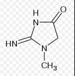 Kreatinin Entstehung: Abbau-Produkt der Muskulatur (entsteht durch die Metabolisierung von muskulärem Creatin (Creatinphosphat dient dem Muskel als Energiespeicher), 1,5% des Creatin-Pools werden