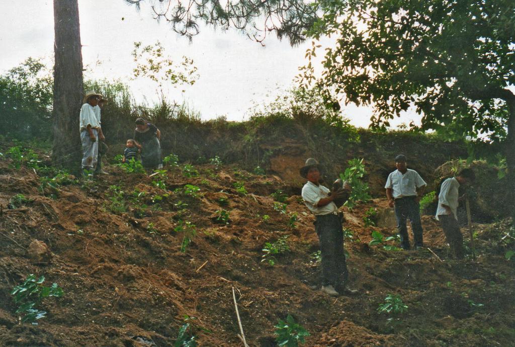 Die Männer des Dorfes pflanzen in Gemeinschaftsarbeit Kaffee an. Mein Vater beteiligt sich auch daran.