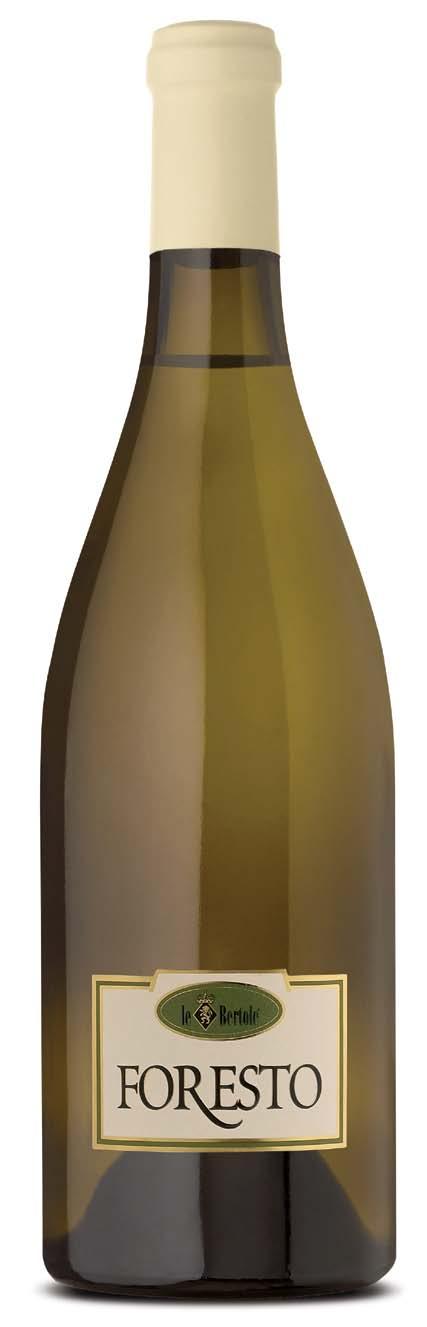 Foresto Weißer Stillwein hoher Qualität, der aus einer sorgfältigen Weinherstellung aus gut ausgelesenen Glera-Trauben (traditionsgemäß Prosecco-Trauben genannt) von steilen Weinbergen (deshalb wird