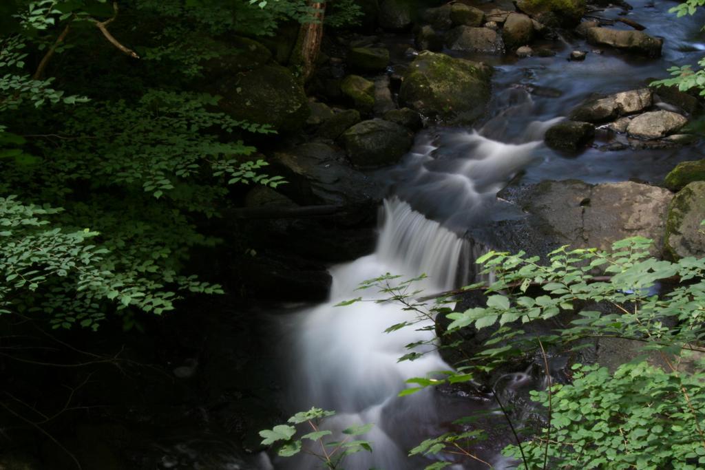 Holzbachschlucht Foto: