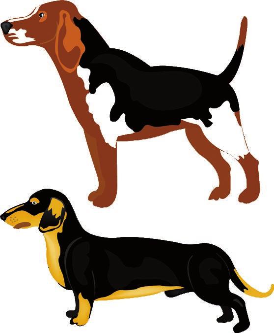 Tiere:. Hunde Hunde schnüffeln auf ihrem Spaziergang an allen möglichen Dingen, Mauern, Bäumen oder einfach nur auf dem Boden.