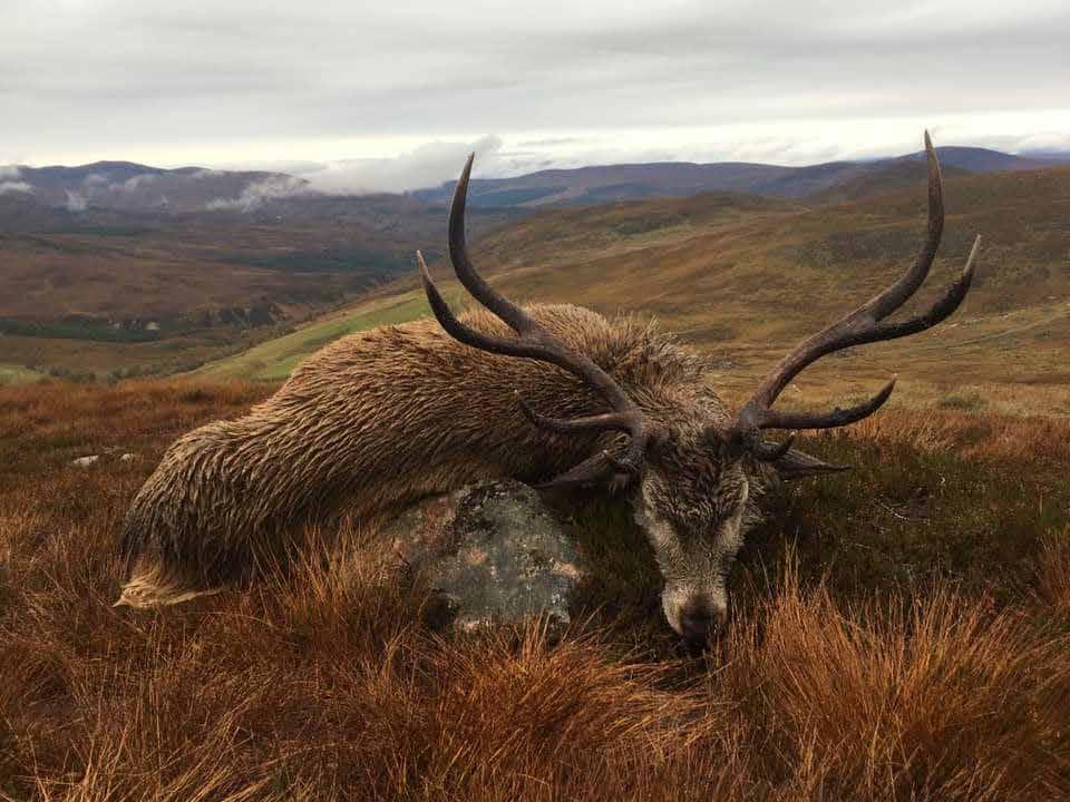 Schottland bietet viele Sehenswürdigkeiten und es lohnt sich, ein paar Urlaubstage nach der Jagd dranzu hängen.