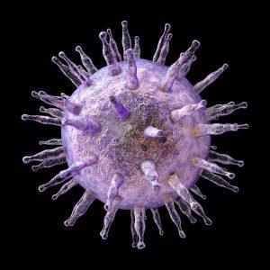 Das Epstein-Barr-Virus (EBV) Neben der akuten Verlaufsform als Pfeiffer sches Drüsenfieber (PDF) gibt es auch die chronische Verlaufsform Bei einem geschwächten Immunsystem kann das EBV immer