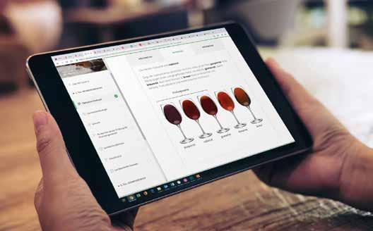Der WINEKISS Online-Weinkurs In 18 vertonten, komplett interaktiven Lektionen lernen Sie, wie Wein gemacht wird, entdecken die wichtigsten Rebsorten und Weingebiete, verstehen die Zusammenhänge