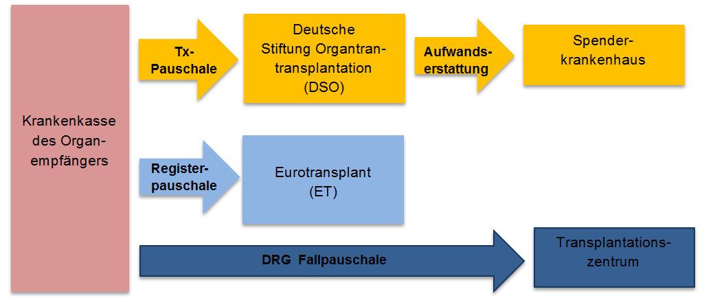 Finanzierung der Organspende Organspende selbst wird von der Krankenkasse des Organempfängers bezahlt Quelle: GKV-Spitzenverband, https://www.