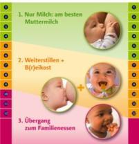 Informationen für Multiplikatoren Essens-Fahrplan für Babys. Bestell-Nr. 3771 www.ble-medienservice.
