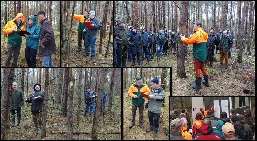 forstl. Ausbildung) Waldbau Durchforstung von Reinbeständen (ca.