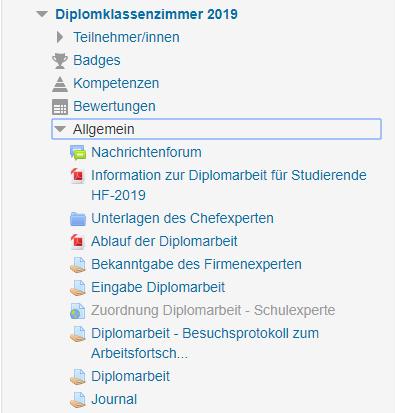 e-learning und Diplomarbeit Inhalt Übersicht der Aktivitäten von