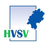 Umsetzung des OZG in kommunalen Gebietskörperschaften Kompetenzwerkstatt HVSV: Agile Verwaltung, Schwalbach am Taunus, 19.