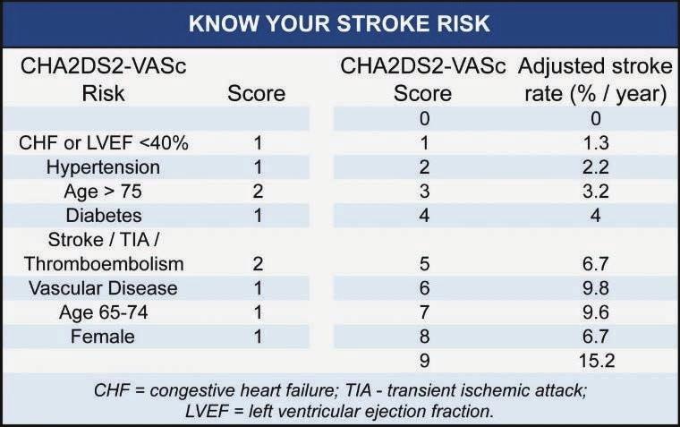 CHA2DS2-VASc Risk Score Herzinsuffizienz ist ein