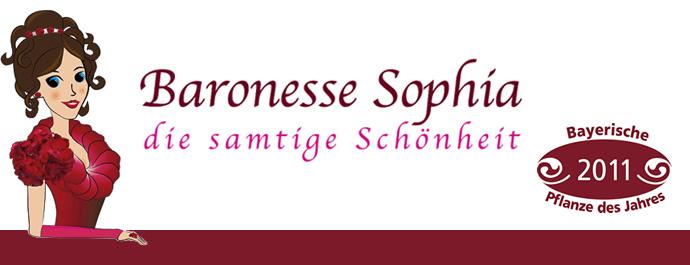 Die bayerischen Gärtner präsentieren die Pflanze des Jahres: "Baronesse Sophia - die samtige Schönheit" Eine rote Geranie ist die "Bayerische Pflanze des Jahres 2011" aber nicht irgendeine: Es ist
