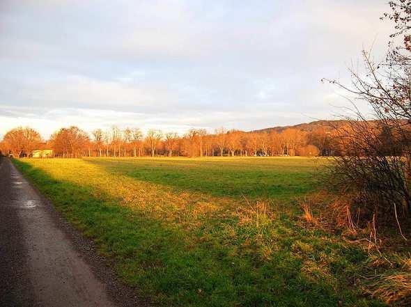 Zwischen Brettenbach und Bahnlinie Emmendingen soll einen neuen Stadtteil bekommen Vor zehn Jahren ist die Idee, in Emmendingen einen neuen Stadtteil zu bauen, wieder versackt der Bedarf an Wohnraum