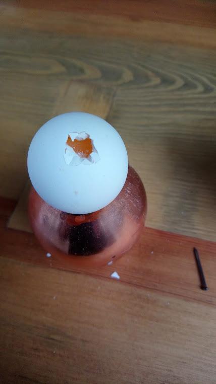 Die Mitte nun vorsichtig herausbrechen, eventuell einen kleinen Nagel zur Hilfe nehmen. Inhalt der Eier in eine Schüssel füllen und zum Beispiel für einen leckeren Kuchen verwenden.