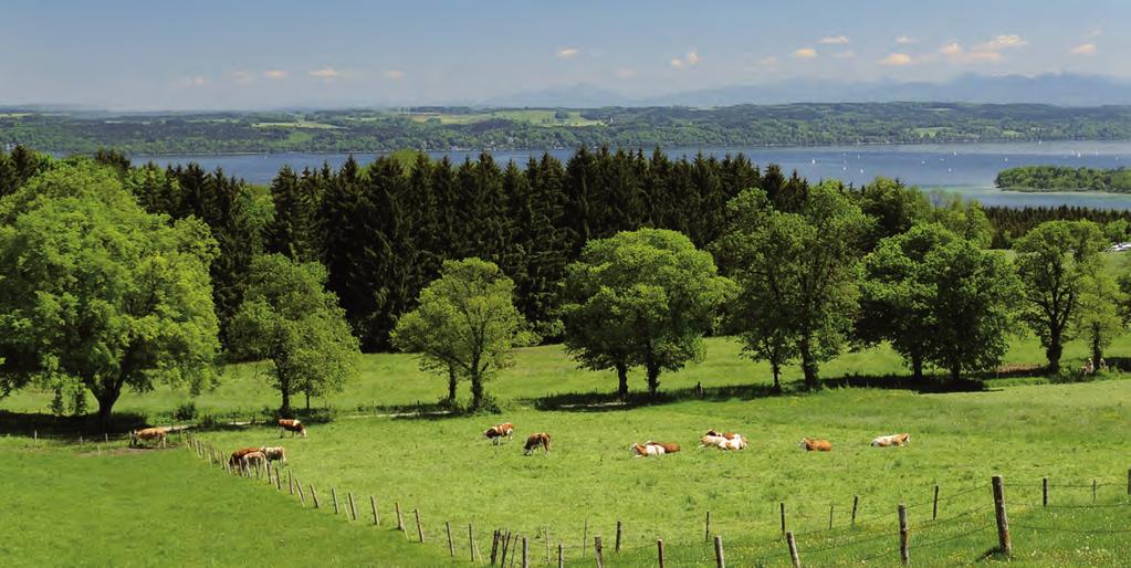 So spart HEINZ wertvolle Ressourcen Regional entsorgt und Primärprodukte gespart HEINZ erbringt Entsorgungsdienstleistungen in den Bereichen Sammlung, Transport, Sortierung sowie Weitergabe zur