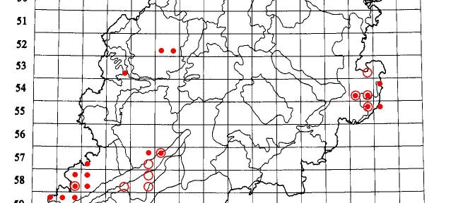Artensteckbrief zu Cladonia rangiferina (L.) Weber ex F. H. Wigg. in Hessen 3 Tab.