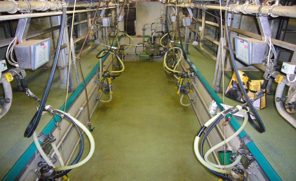 Melkstandhygiene Melkberatung und Anlagenprüfung nach DIN ISO 08.