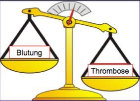 Prothrombin Thrombin Thrombose Prothrombin Thrombin Fibringerinnsel