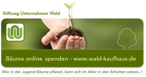 WalddKauFaus - Baumspendeportal im Internet. Seit dem Jahr 2009 betreibt die SNOung Unternehmen Wald das Baumspendeportal WaldKauqaus im Internet.