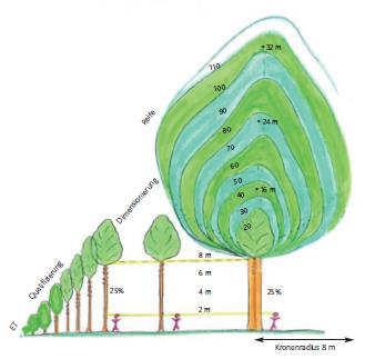 Q/D Strategie Quelle: Broschüre Qualifizieren Dimensionieren Waldbaustrategie