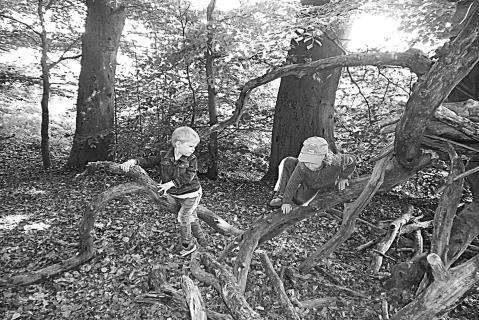 Die Reise durch den Wald In unserer Psychomotorikgruppe haben wir beobachtet, dass die Kinder einen großen Bewegungsdrang besitzen.