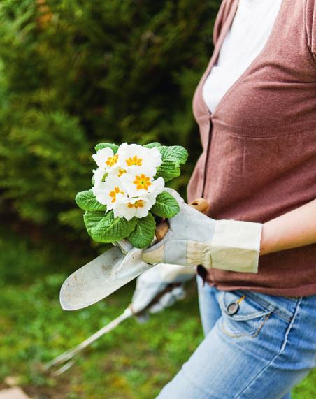 Lieber Gartenfreund! Es gibt kaum etwas Schöneres, als im eigenen Garten, und sei er auch noch so klein, den Lauf der Jahreszeiten und die Mechanismen und Zusammenhänge in der Natur zu beobachten.