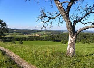 Nutzung erhalten bleiben. Grundsätzlich sind neue Bauten und Anlagen ausserhalb der Fruchtfolgeflächen zu erstellen.