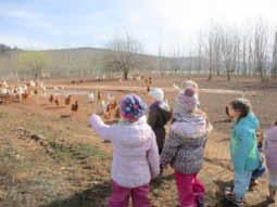 März das schöne Wetter auszunutzen ist das Team des Kindergartens Pfiffikus mit allen Kindern der Mäuse- & Rabengruppe gemeinsam zum nahe gelegenen Hühnerhof gelaufen, wo es viel zu entdecken gab.