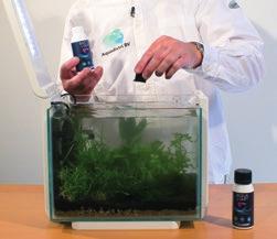 Damit legen Sie die Grundlage für ein gesundes Aquarium mit prächtigen Pflanzen.